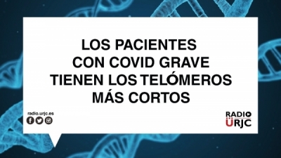 LOS PACIENTES CON COVID-19 GRAVE TIENEN TELÓMEROS MÁS CORTOS