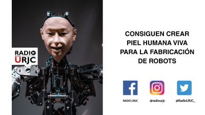 CONSIGUEN CREAR PIEL HUMANA VIVA PARA LA FABRICACIÓN DE ROBOTS