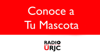 CONOCE A TU MASCOTA: SER MASCOTA NO ESTÁ PAGADO