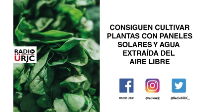 CONSIGUEN CULTIVAR PLANTAS CON PANELES SOLARES Y AGUA EXTRAÍDA DEL AIRE