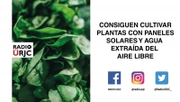 CONSIGUEN CULTIVAR PLANTAS CON PANELES SOLARES Y AGUA EXTRAÍDA DEL AIRE