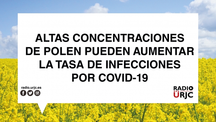 ALTAS CONCENTRACIONES DE POLEN PUEDEN INCREMENTAR LA TASA DE INFECCIONES POR COVID-19
