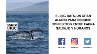 BIG-DATA: UN GRAN ALIADO PARA REDUCIR CONFLICTOS ENTRE FAUNA SALVAJE Y HUMANOS